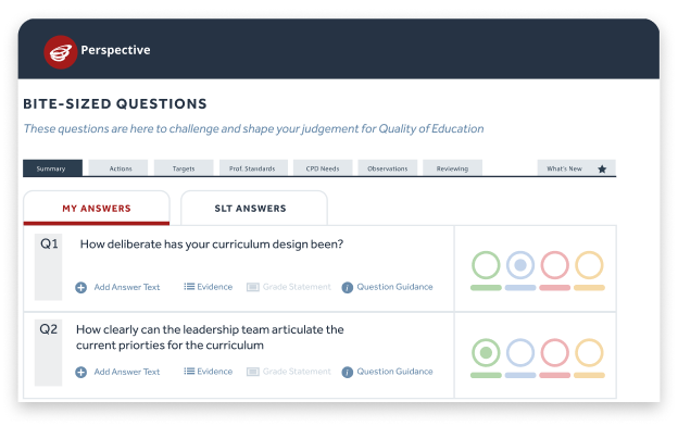 Perspective SEF bite size questions screen